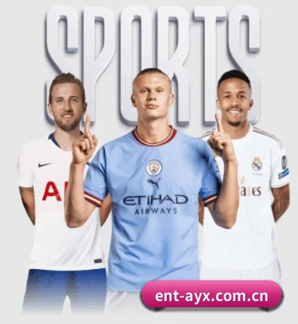 爱游戏体育 APP(AYX SPORTS)